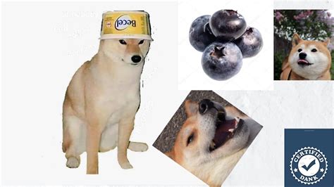 Blueberry Doggo Youtube