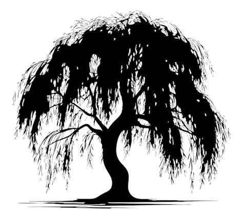 Premium Vector Willow Tree Silhouette Artistic Illustration Of A