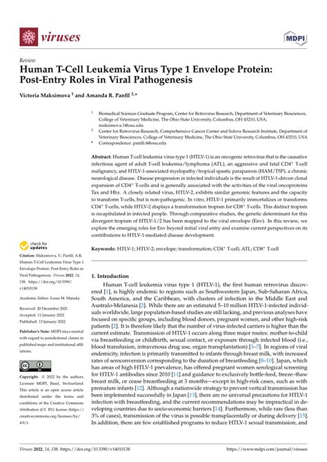 Pdf Human T Cell Leukemia Virus Type 1 Envelope Protein Post Entry