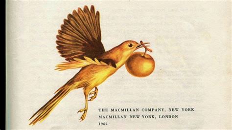 The Golden Bird Art And Collectibles Etchings And Engravings Jan