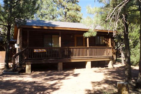 wolfs den cabin single story  bedroom cabin  spa