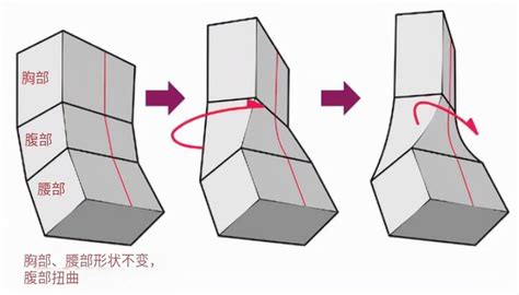 人物转身姿势怎么画？教你画出回头转身姿势的画法教程！ 知乎