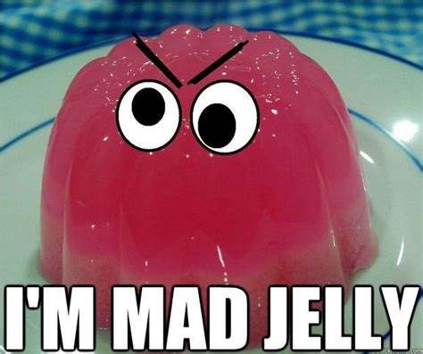 One Of The Best Jelly Memes Jellymemes
