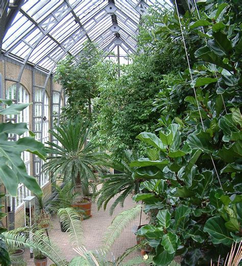 The garden covers an area of 10 hectares and is particularly noted for its extensive complex of historical glasshouses dating from 1874. Bagging botanic gardens - Polypompholyx