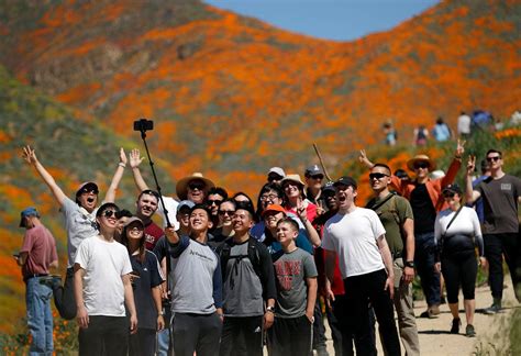 Super Bloom Of California Poppies Attracts Massive Crowds Photos