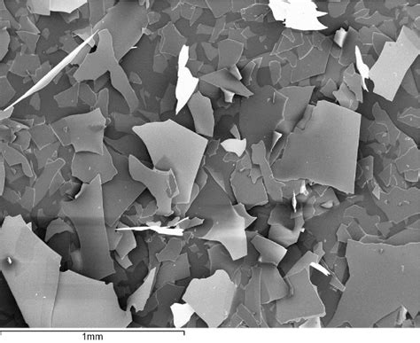 Scanning Electron Microscopy Sem Image Of Commercial Micro Glass Download Scientific Diagram