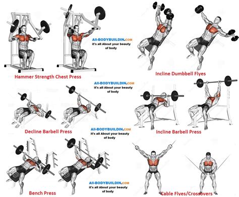 chest workout for men chart