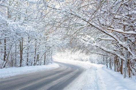 Road In Winter Forest Scenic View Of Tunnel With Snowy Trees Stock