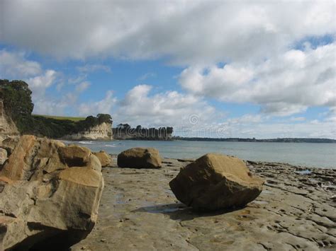 Fallen Rock On New Zealand Beach Stock Photo Image Of Deserted