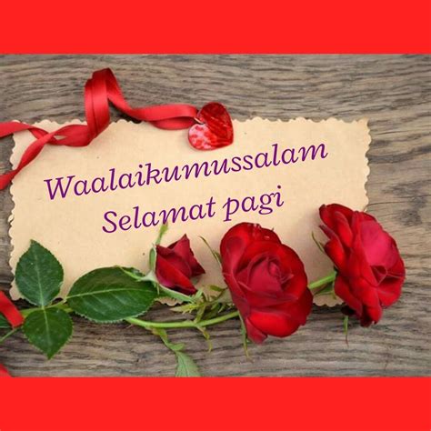 Assalamualaikum is a beautiful and great way of greeting imo! Zahida Zarik Khan on Twitter: "Assalamualaikum.salam subuh ...