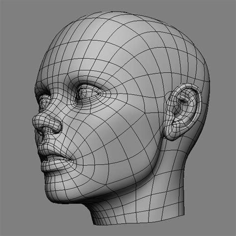 Wireframe Zbrush Tutorial 3d Tutorial Animation Reference Anatomy Reference Face Reference