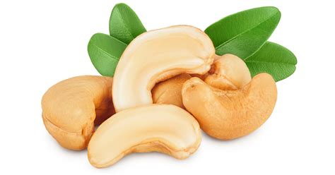 Researchers Refine Testing Method For Cashew Nut Allergy