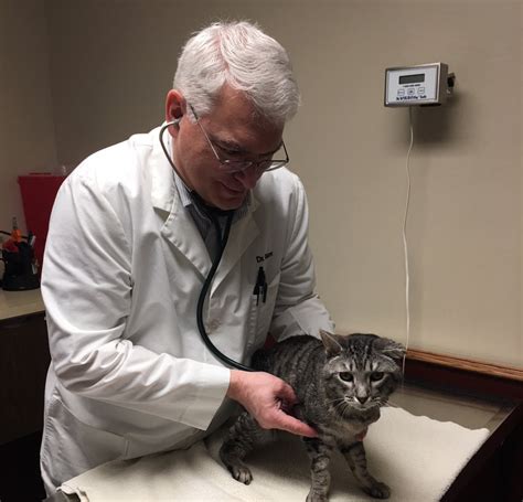 In addition to routine wellness care, we are also one of the premier facilities specializing in reproductive. Staff Gallery - Lakeland Animal Hospital, P.C.