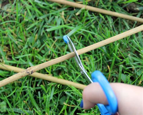 Who else but martha would have something like… DIY Bamboo Garden Trellis - This Pug Life