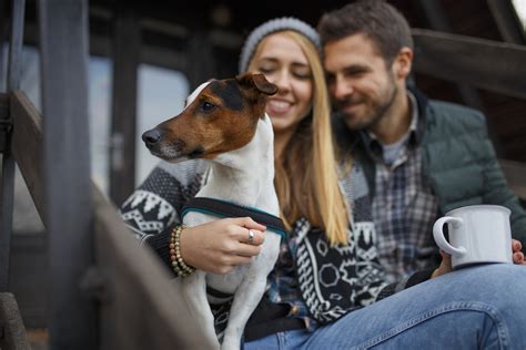 Travelling With Your Pet In The Winter Live Better