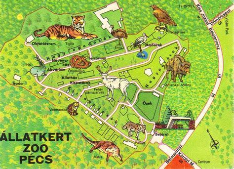 Az állatkert abból gazdagodik meg, hogy eladják az állatok ürülékét?iratkozz fel a boomerang magyarország. Pécsi Állatkert | Anno Pécs állatkert térkép egykor.hu ...