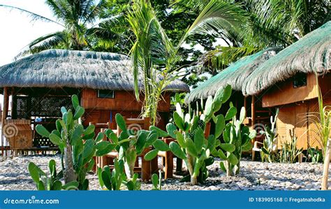 Bamboo Huts On The Beach Coral Reef Of An Homestay Gam Island West