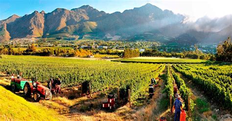 From Cape Town Full Day Winelands Tour With Tasting Getyourguide