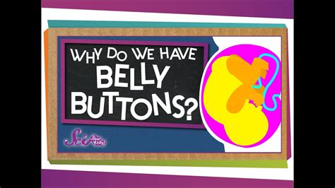 Why Do We Have Belly Buttons Youtube