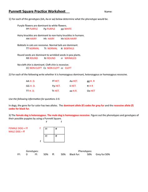 Punnett Square Practice Worksheet Answers Educational Worksheet