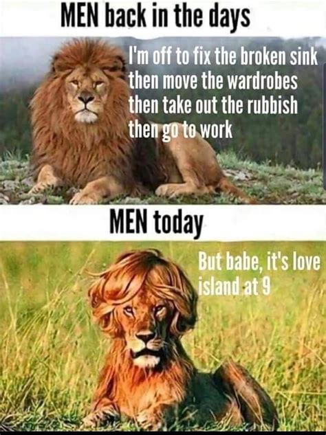 29 Funny Memes With Lions Factory Memes