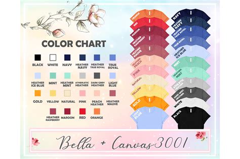 Bella Canvas 3001 Color Chart Graphic By Donalpack65 · Creative Fabrica