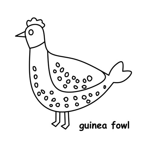 Guinea Fowl Line Drawing 5994261 Vector Art At Vecteezy