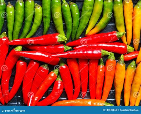 Red Yellow And Green Chili Peppers Stock Photo Image Of Green