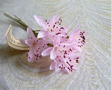 Vintage Millinery Flowers Bunch Of Six Pale Pink Edelweiss For Etsy