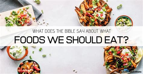 Try to devote most of your plate to healthful foods. What does the Bible say about what foods we should eat ...