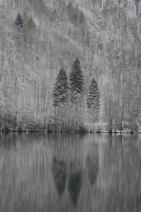 Free Images Landscape Tree Water Nature Mountain Winter Black