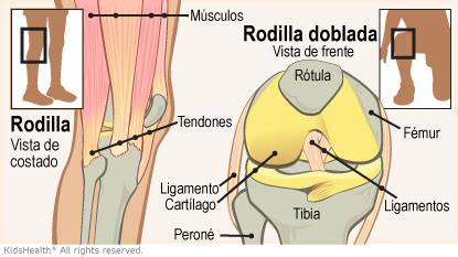 Lesiones De Rodilla