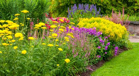 15 Summer Flowers For The Prettiest Garden Ever