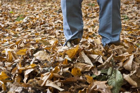 Wie beim frühling auch, sind auch beim herbstanfang 2015 die tage und nächte zunächst gleich lang. Herbstanfang - Wann beginnt der Herbst?