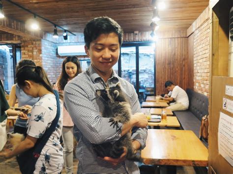 Seouls Blind Alley Café Has Taken The Idea Of Animal Café To The Next