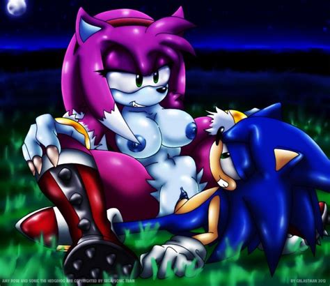 1200077 Amy Rose Sonic Team Sonic The Hedgehog Gblastman Holy Shit