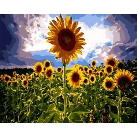 Sunflower Diy Paint By Numbers Kits Zxq1802 Craft Painting