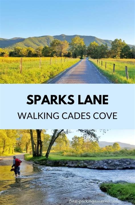 Walking Cades Cove Loop Road Sparks Lane September ⛰ 4 Mile Loop