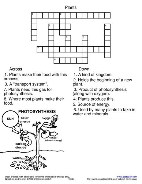 Photosynthesis Worksheet Printable Free