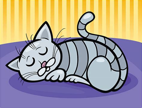 Gray Tabby Cat Cartoon Illustrations Royalty Free Vector Graphics