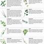 Herbs To Plant Together Chart
