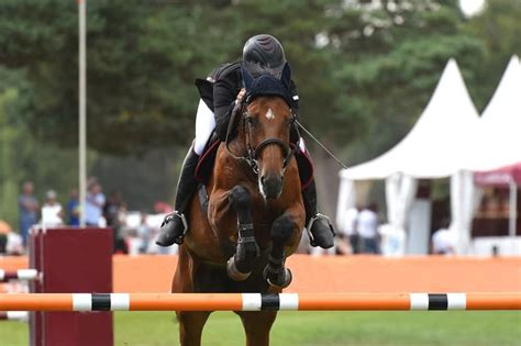 Equestrian: Olympic Sport - Set Physical Therapy
