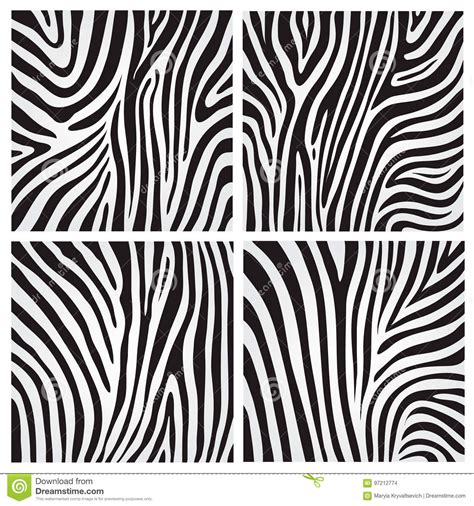 Vector Set Of Zebra Print Animal Skin Abstract Pattern Line