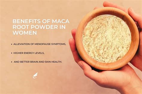 increase libido and improve energy and mood with maca root does it work a scientific review