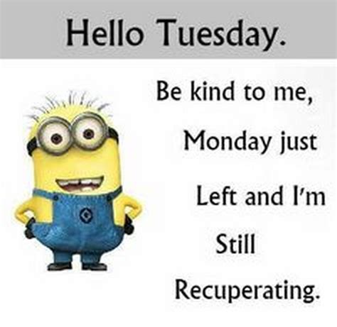 Happy Tuesday Minion Meme