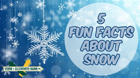 5 Fun Facts About Snow Veh Brothers