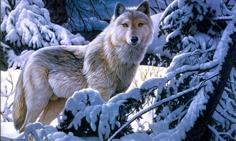 Their barking alone can frighten anyone even from a distance. white wolf wallpaper in snow fall - HD Wallpaper