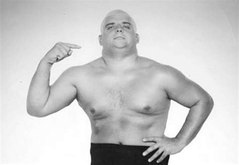 The American Dream 10 Things You Didnt Know About Dusty Rhodes