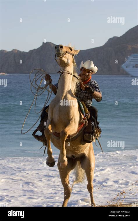 Mexican Cowboy On Rearing Horse Stock Photo Alamy