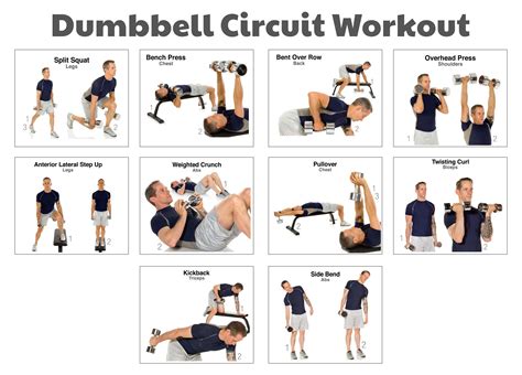 Printable Dumbbell Workout Chart